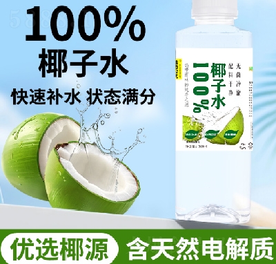 ʽҬˮ500ml