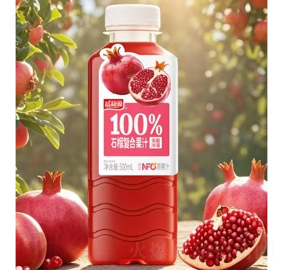 Դ100%ʯ(f)Ϲ֭500ml