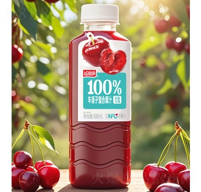 Դ100%܇?yn)ӏ?f)Ϲ֭500ml