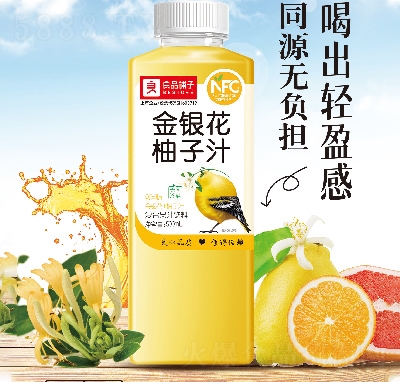 Ʒӽy֭(f)Ϲ֭500ml
