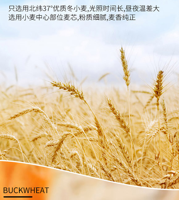 河南掌柜食品有限公司-拉面_03 河南掌柜食品有限公司-拉面_03