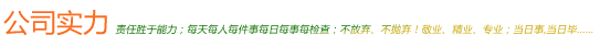 公司實力